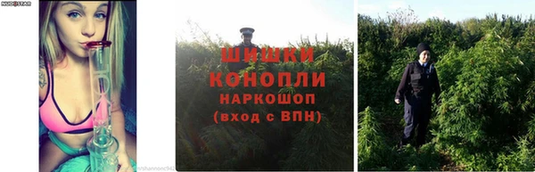 трава Алексин