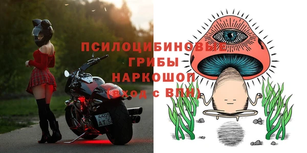мдпв Алзамай