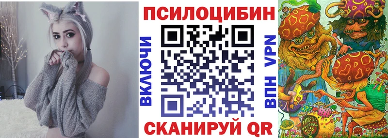 Галлюциногенные грибы Cubensis  Осинники 